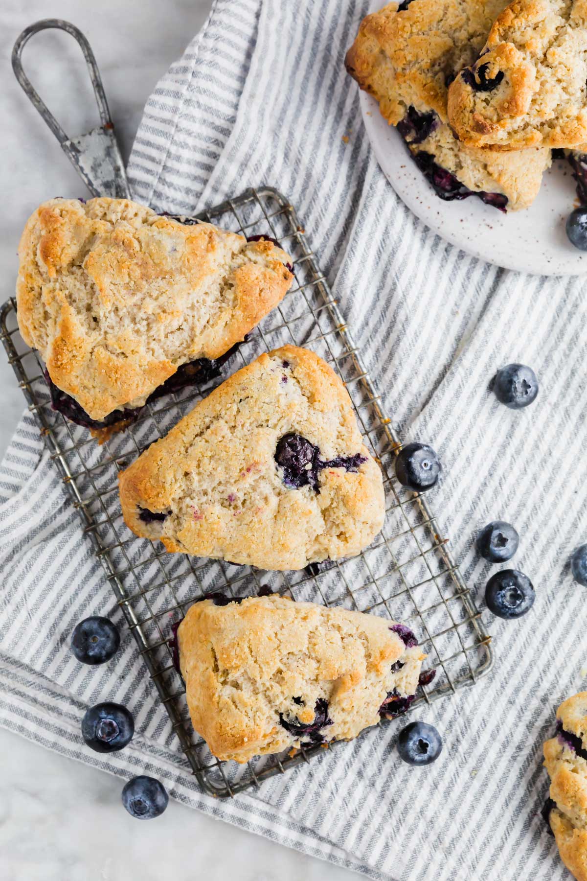 An aerial view of three gluten-free blueberry scones on a drying rack with fresh blueberries surrounding it.