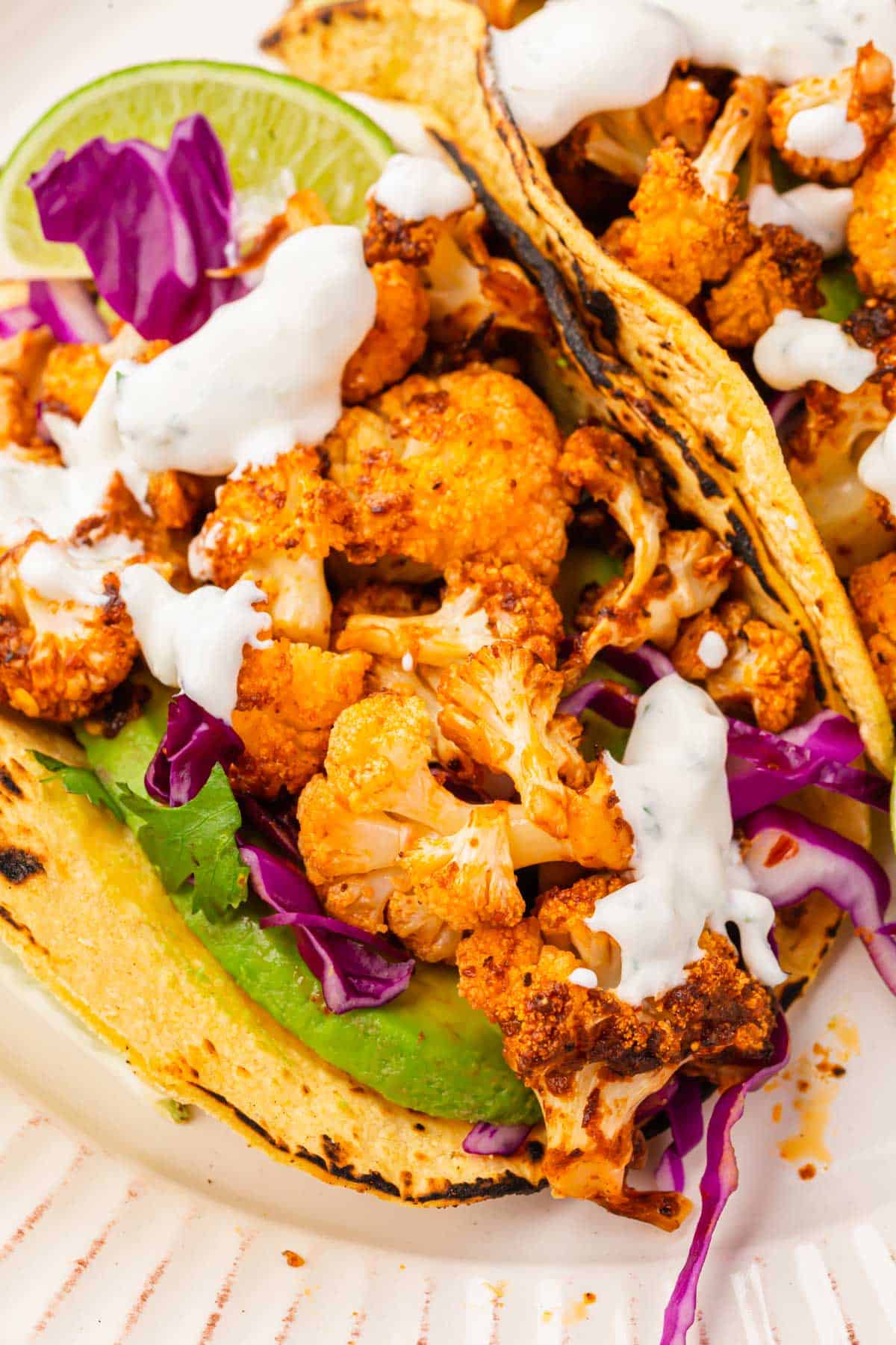 A closeup of a roasted cauliflower taco on a corn tortilla topped with sliced avocado, cilantro, purple cabbage and cilantro lime crema.