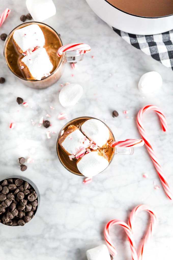 Mugs of peppermint hot chocolate with marshmallows and candy canes with a bowl of chocolate chips.