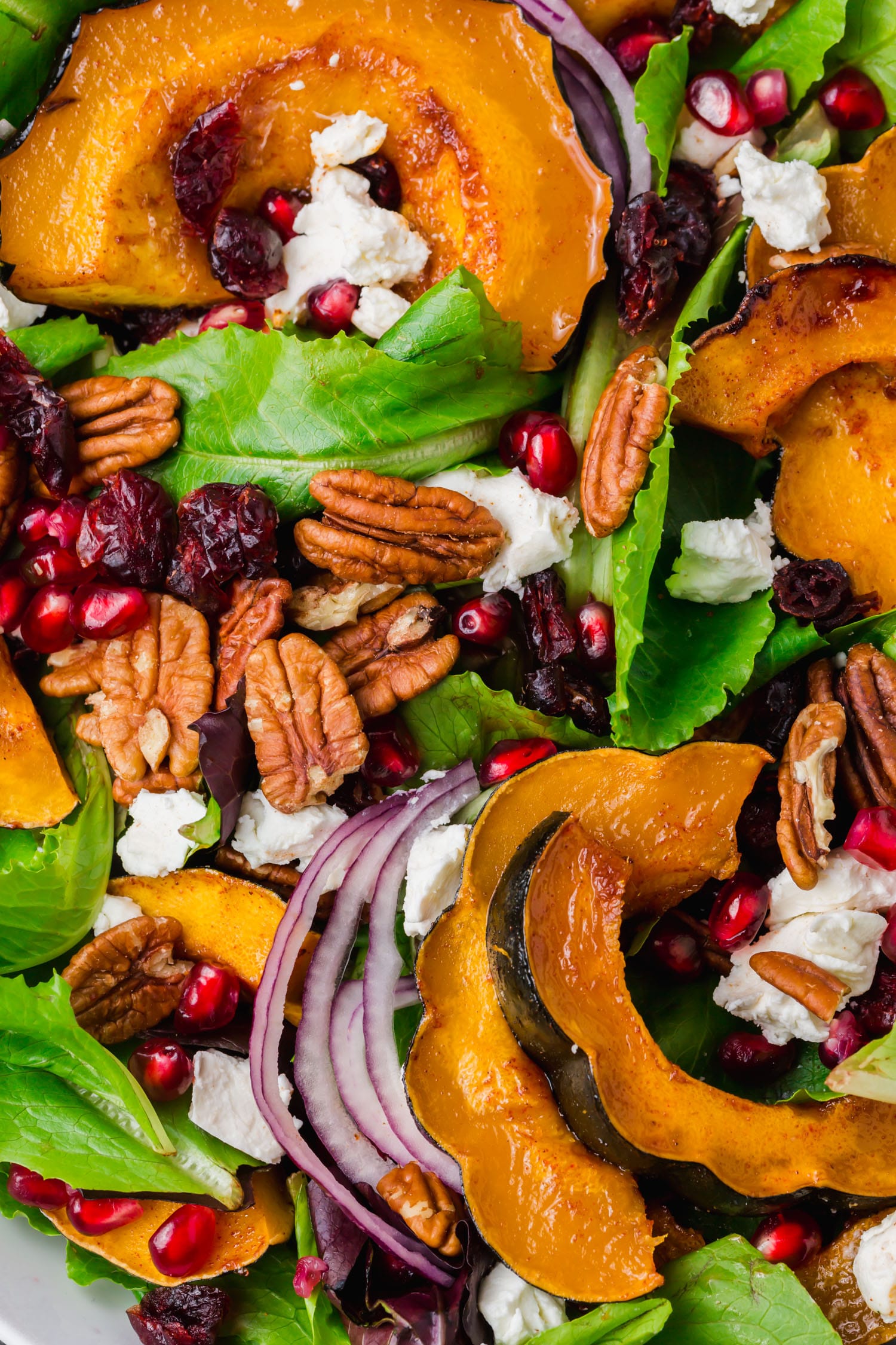 An overhead shot of a fall salad with goat cheese, pecans, pomegranate, red onion and acorn squash.