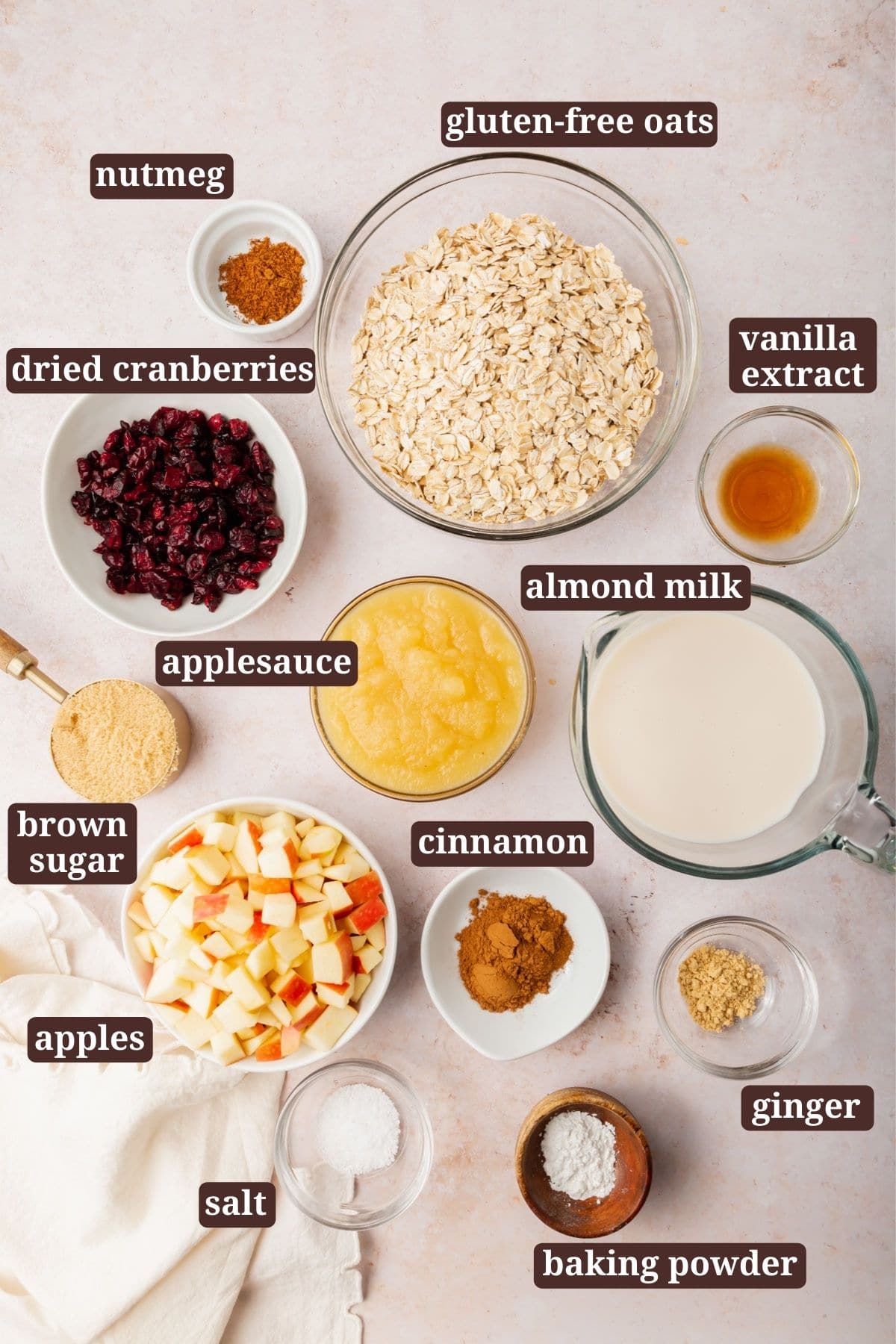 Labeled ingredients for apple cinnamon baked oatmeal on a light surface: gluten-free oats, vanilla extract, almond milk, applesauce, dried cranberries, brown sugar, apples, cinnamon, nutmeg, ginger, salt, and baking powder.