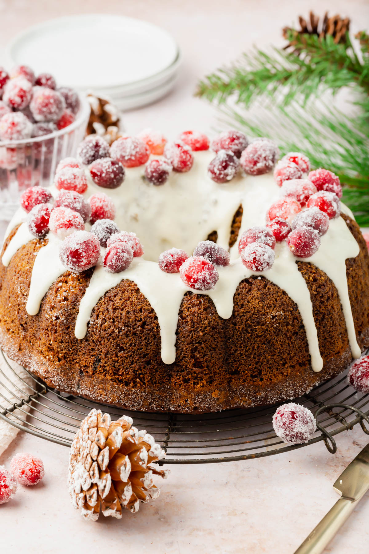 Gluten-Free Gingerbread Bundt Cake