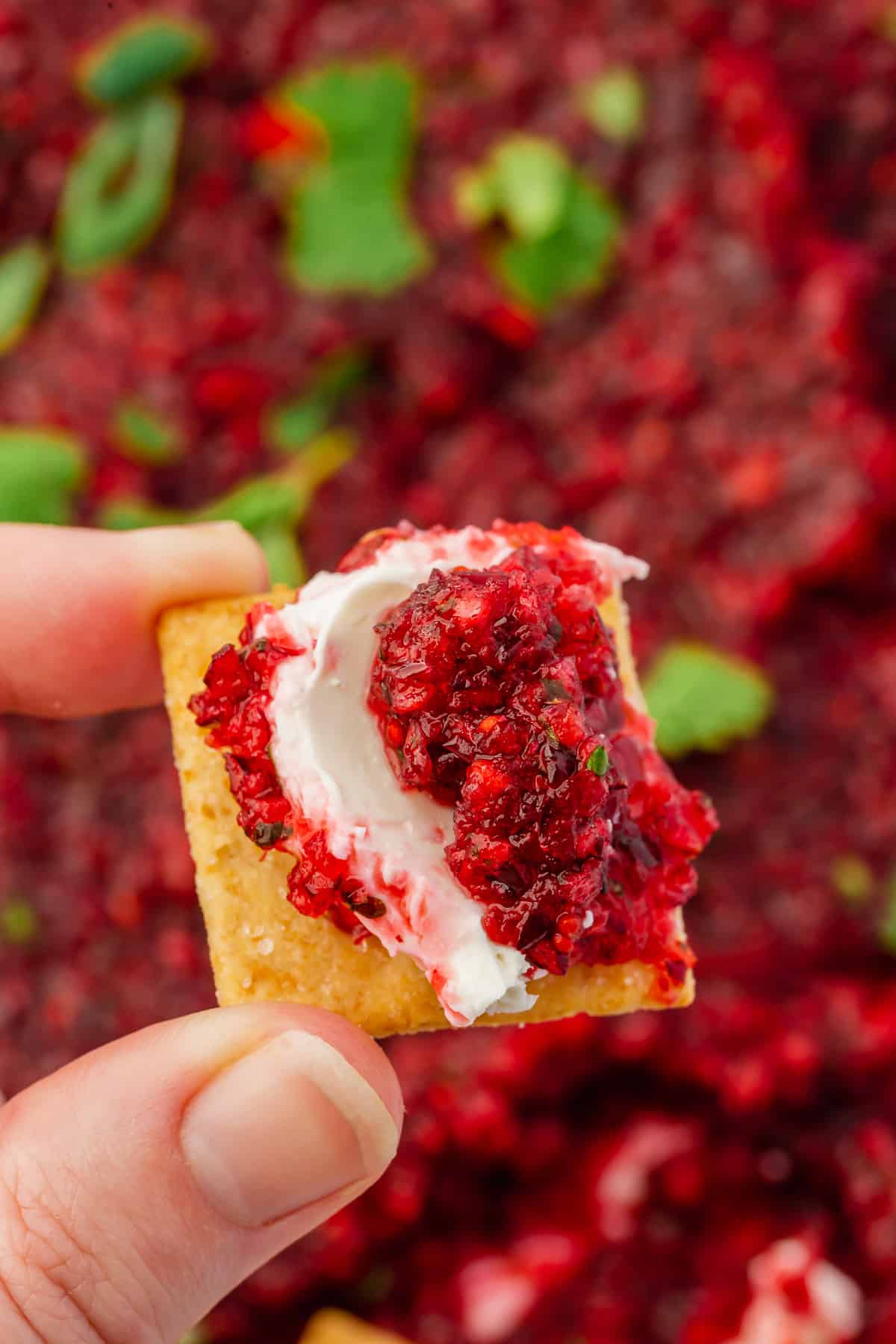 Cranberry Jalapeño Cream Cheese Dip