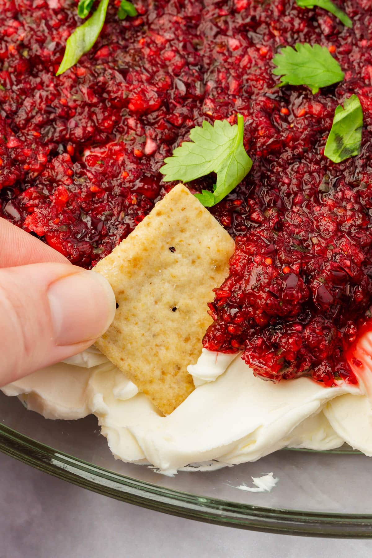 A hand dipping a gluten-free cracker into cranberry cream cheese dip topped with cilantro and green onion.