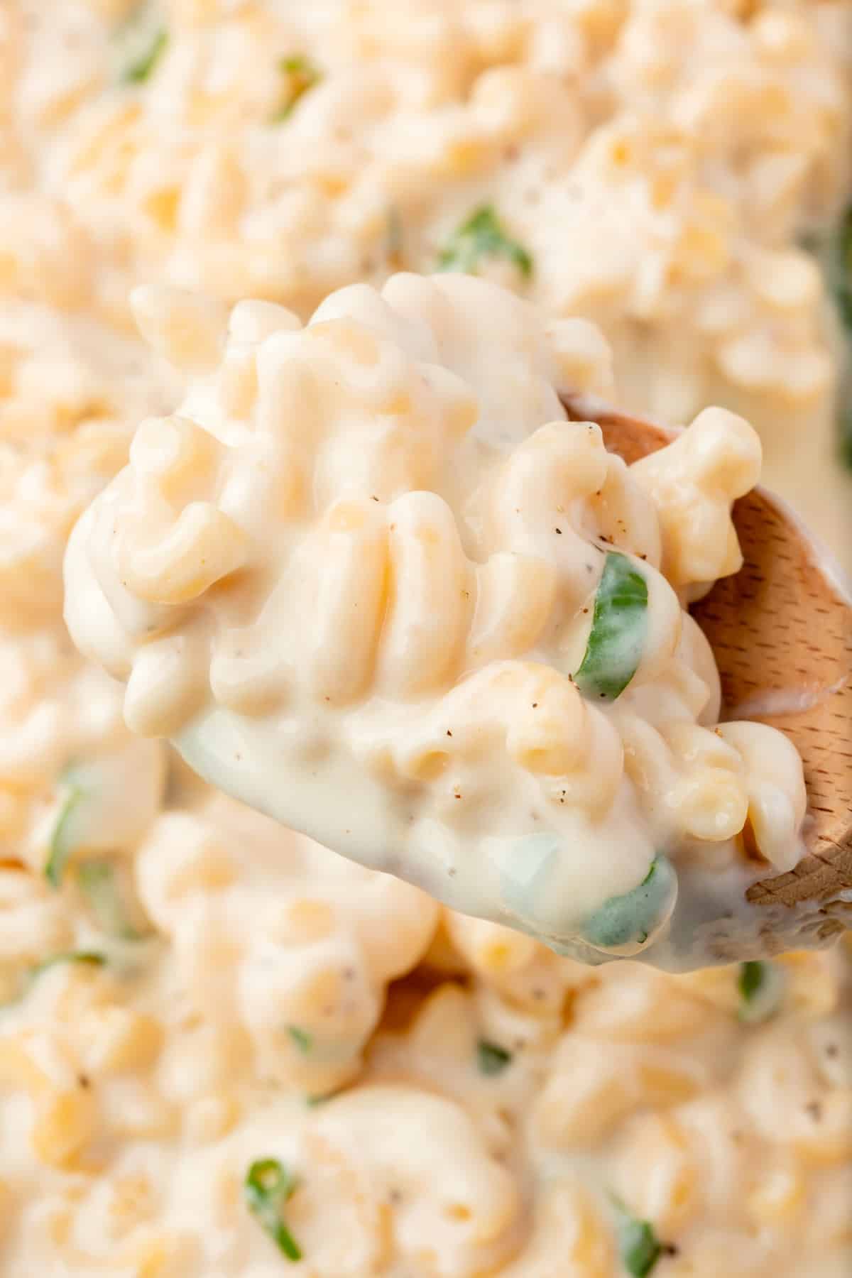 Mozzarella Mac and Cheese
