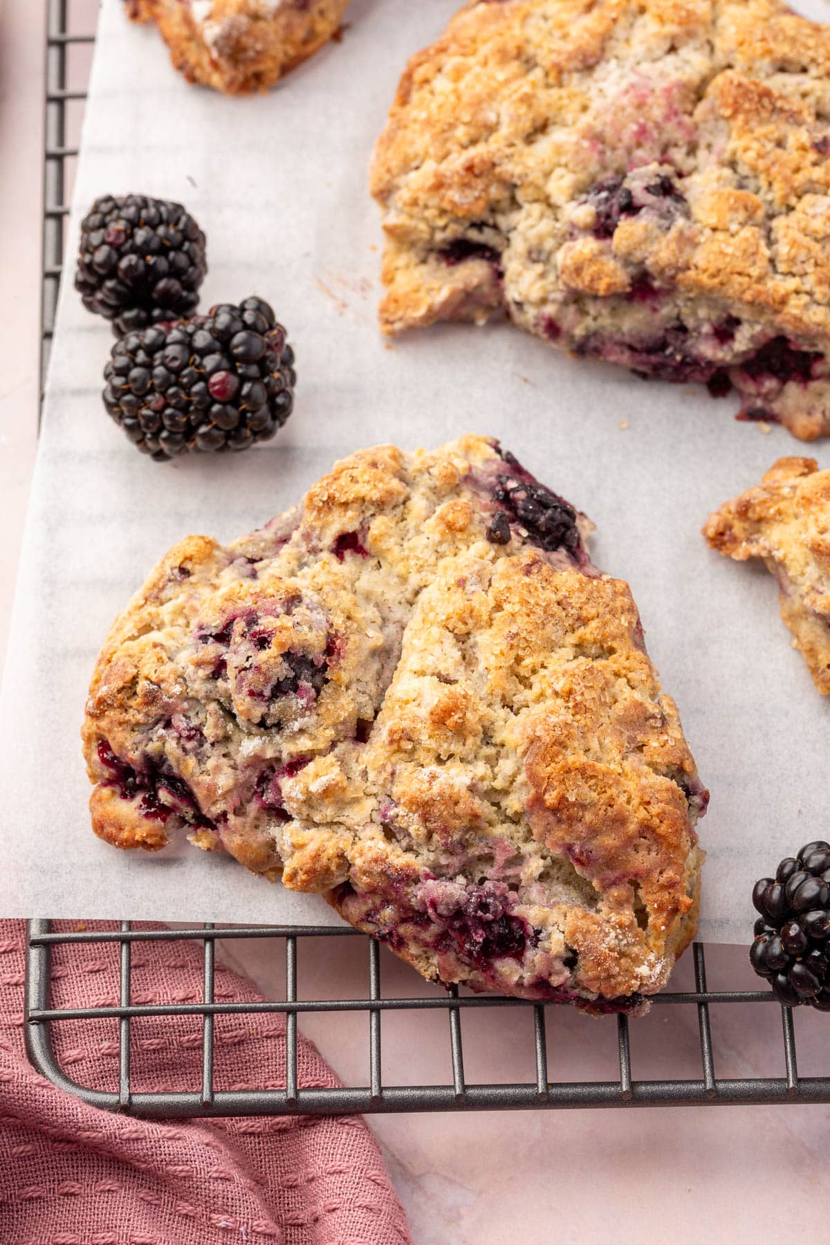 A gluten free blackberry scone cooling on a wire cooling rack with fresh blackberries and more scones surrounding it.