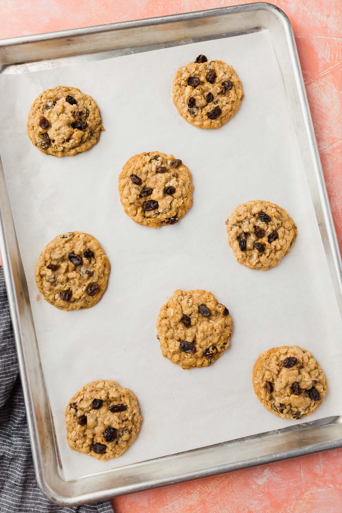 Gluten-free oatmeal raisin cookies on a parchment lined baking sheet on a pink table.