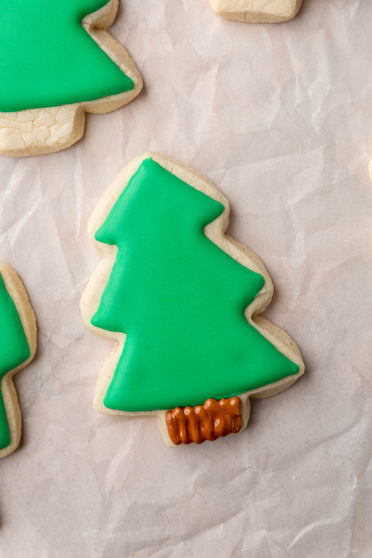 A gluten-free Christmas tree sugar cookie decorated with green royal icing and brown royal icing to create a tree stump.
