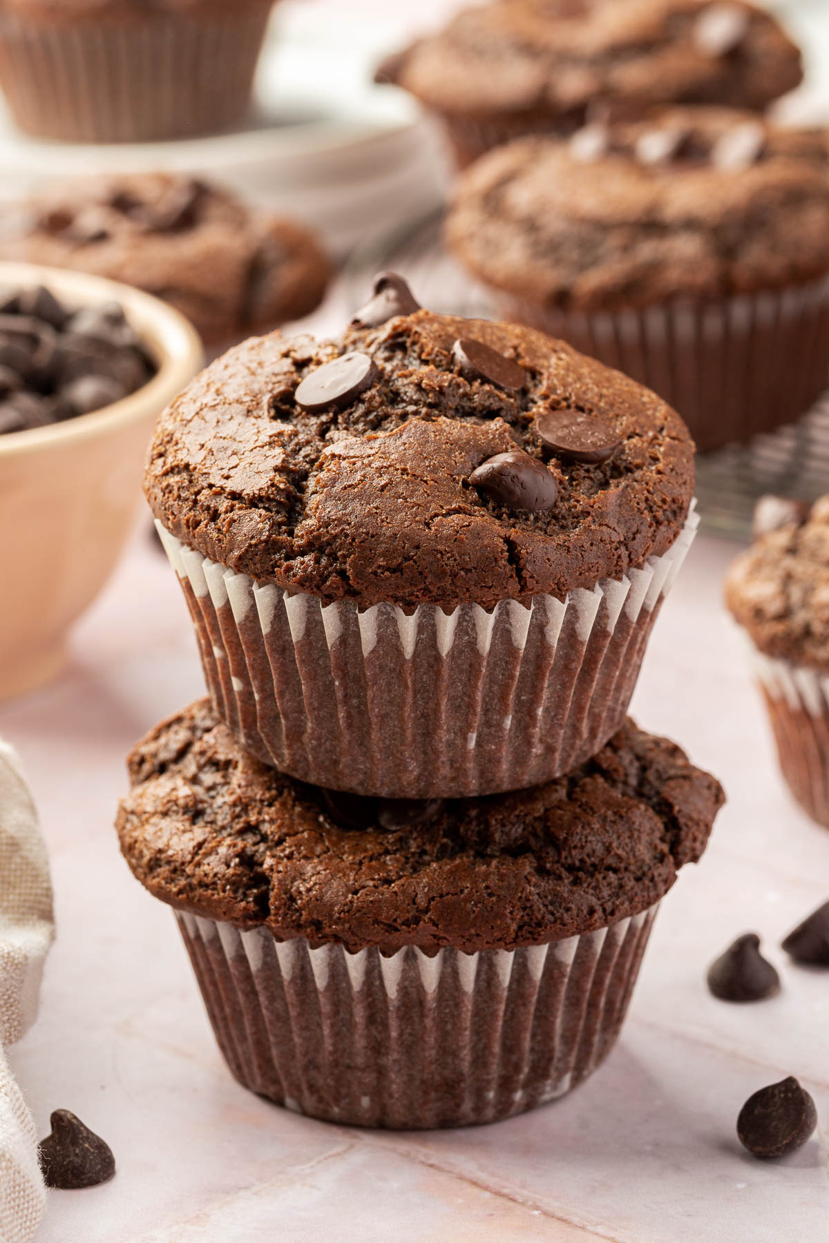 Gluten-Free Chocolate Muffins