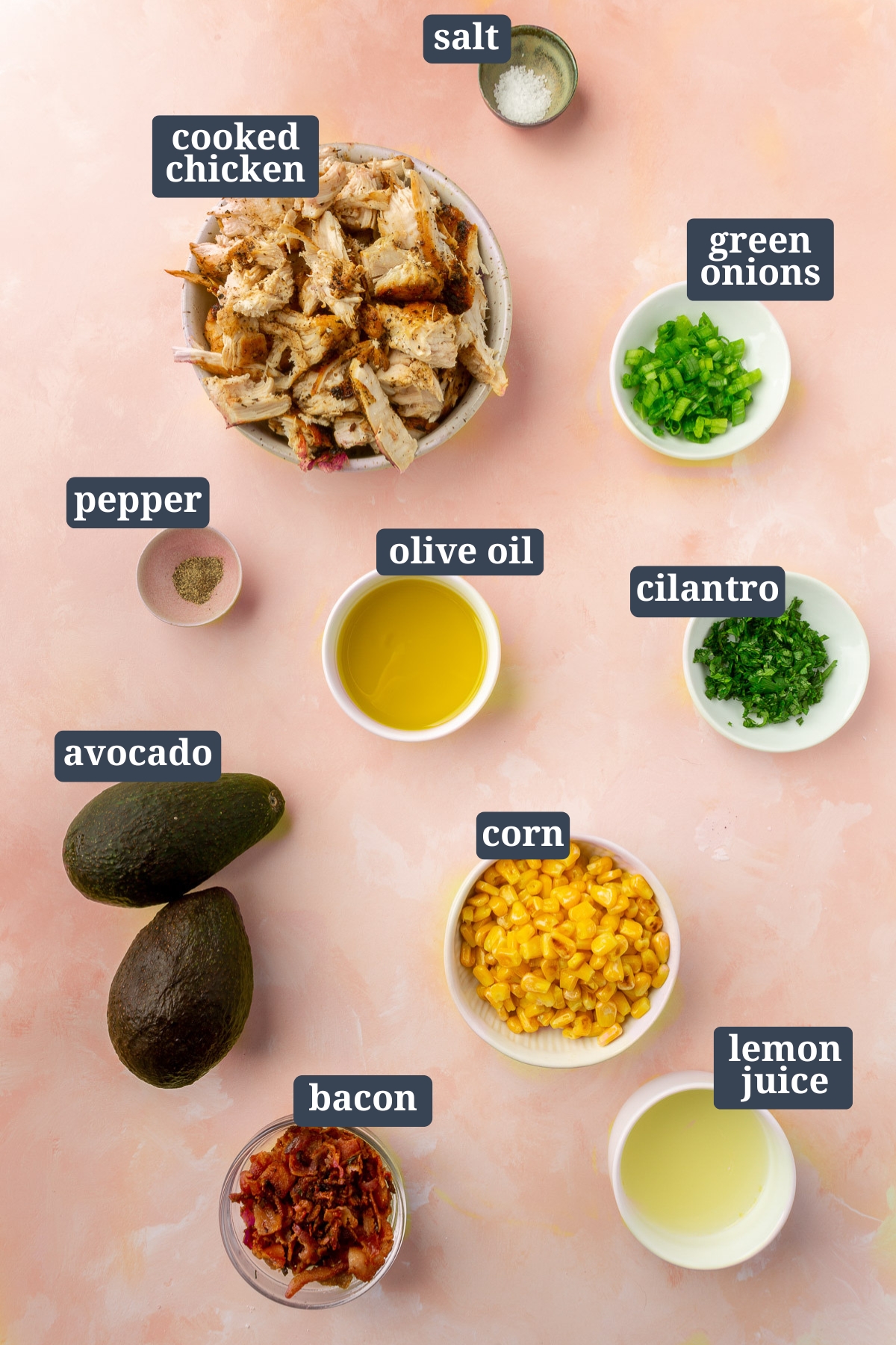 Ingredients for the avocado chicken salad including salt, cooked chicken, green onions, cilantro, olive oil, pepper, avocado, corn, lemon juice and bacon all in individual bowls on a countertop.