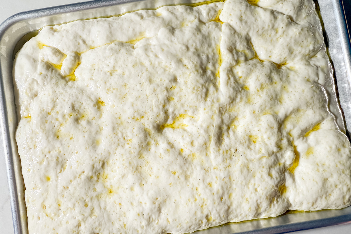 Risen gluten-free focaccia dough in a baking pan, puffy with visible bubbles and a drizzle of olive oil.