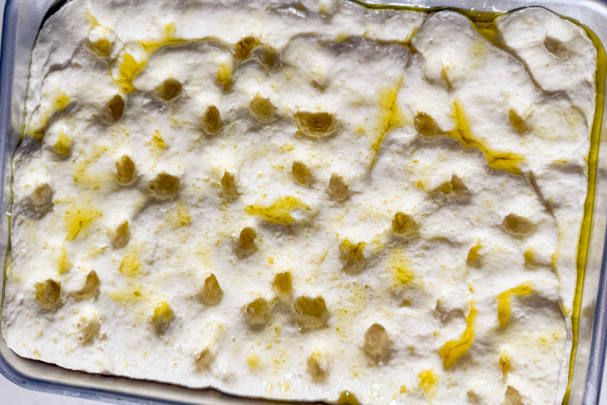 Gluten-free focaccia dough with visible dimples pressed into the surface, glistening with olive oil.