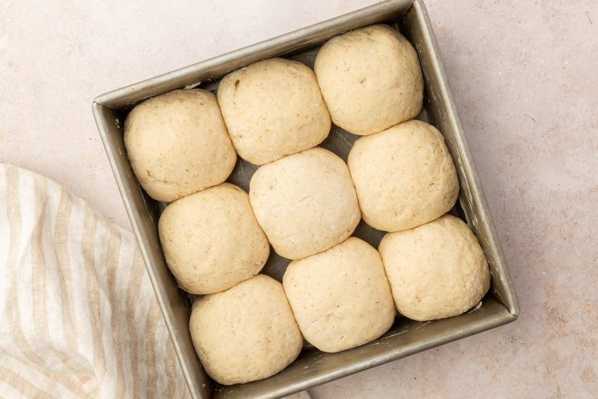 Gluten-free dinner roll dough after rising, smooth and puffy in a baking pan.