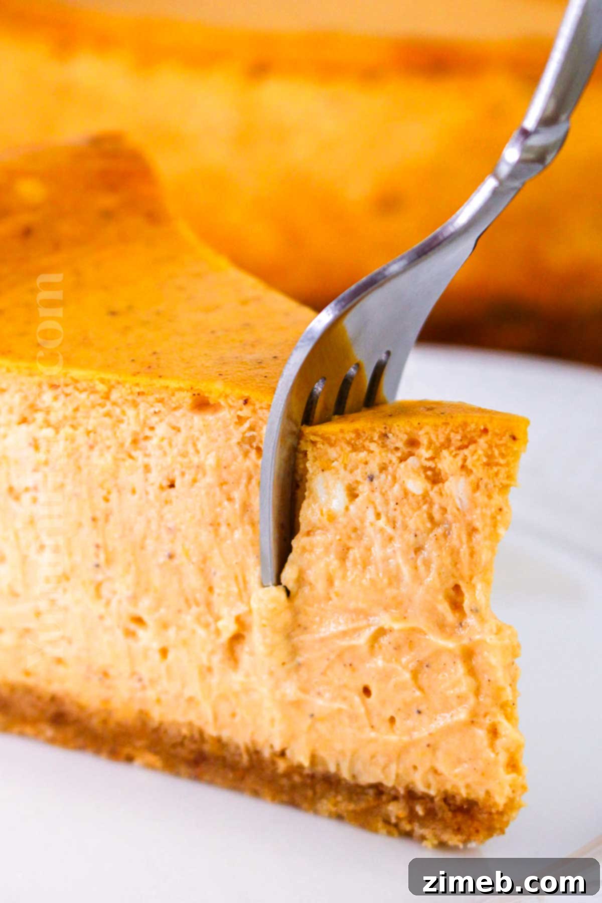 featured 149654