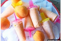 Golden Apricot Spice FroYo Delights
