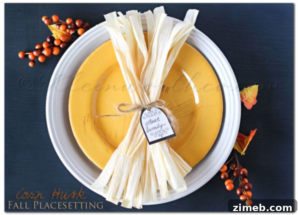 featured 16511