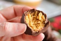 Scrumptious No-Bake Peanut Butter Bites