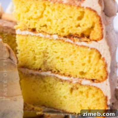 Snickerdoodle Cake