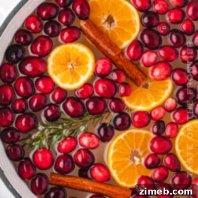 Simmering Scents 15 Stovetop Potpourri