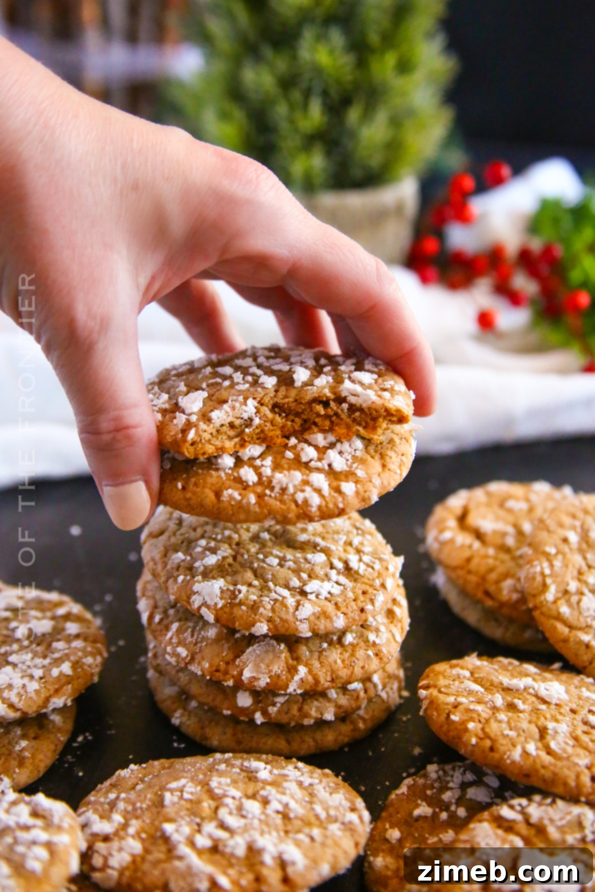 Recipe for Gingerbread Crinkle Cookies