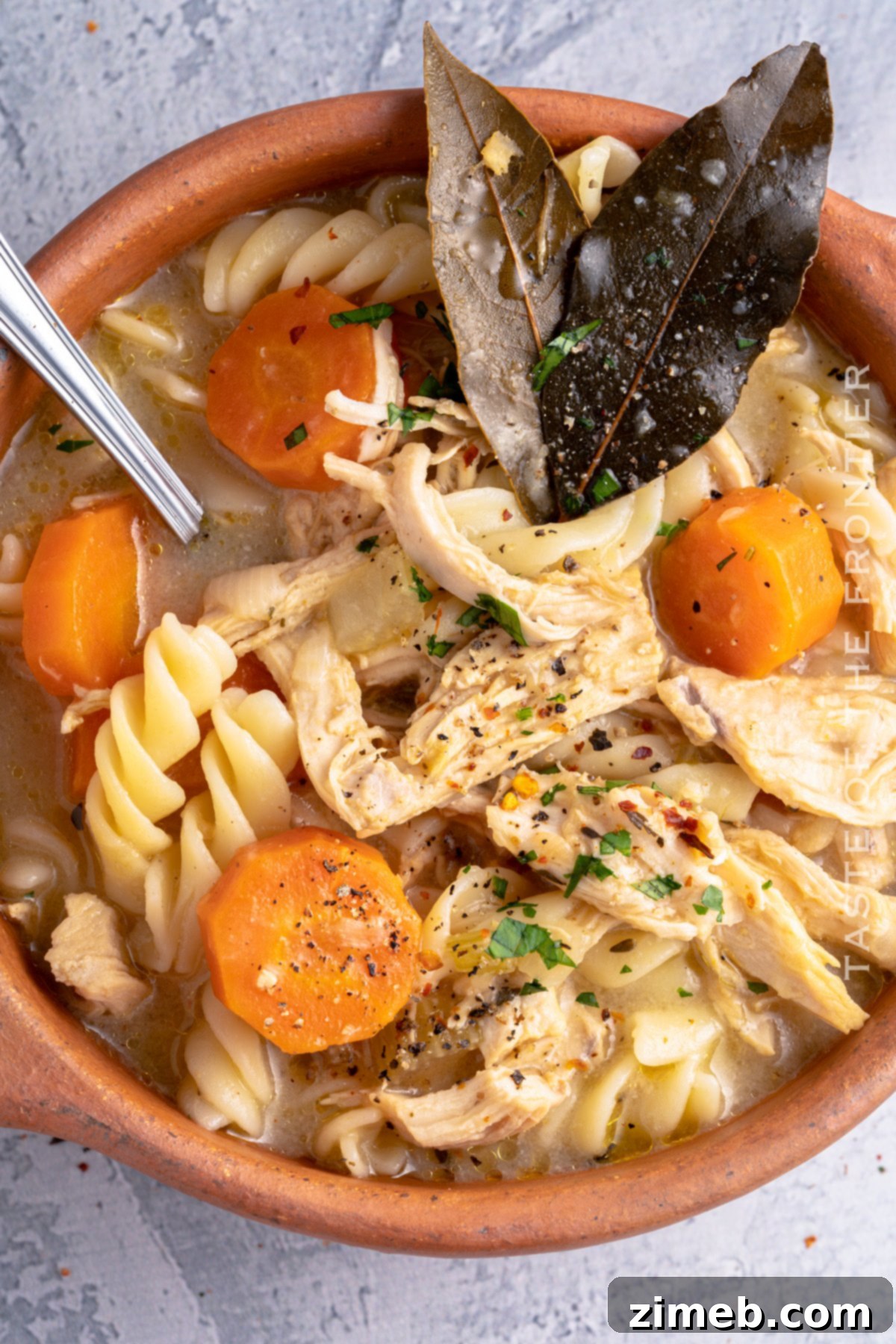 Hearty Chicken Noodle Comfort 2 Homemade Chicken Noodle Soup - the ultimate comfort food for cold days or a quick family dinner.
