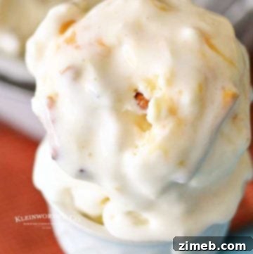 Sweetheart Pretzels 12 easy dessert recipe - Salted Caramel Pretzel Ice Cream