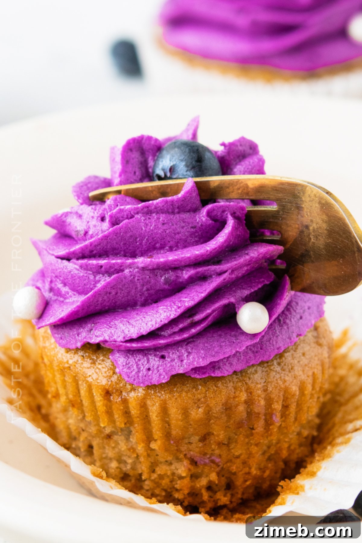 Blueberry Cupcakes with Blueberry Frosting