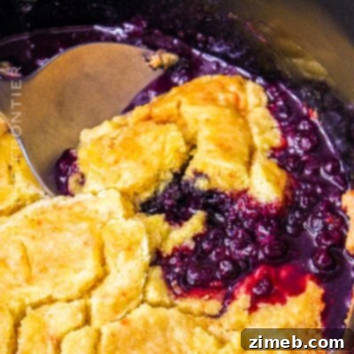 Best Blueberry Muffin Recipe 11 Slow Cooker Blueberry Cobbler
