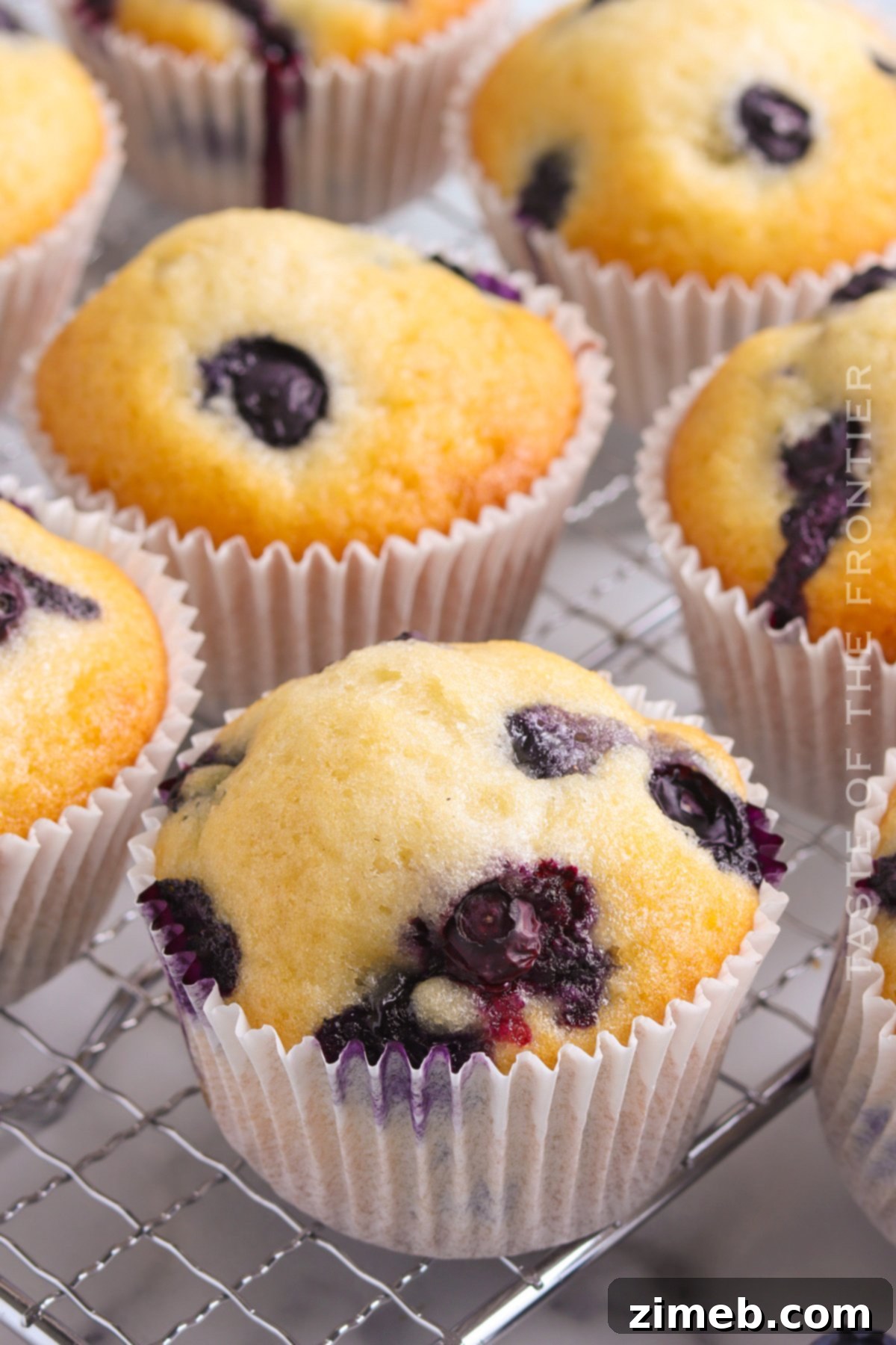 Best Blueberry Muffin Recipe 14 Blueberry Muffins Recipe - Freshly baked, delicious blueberry muffins.