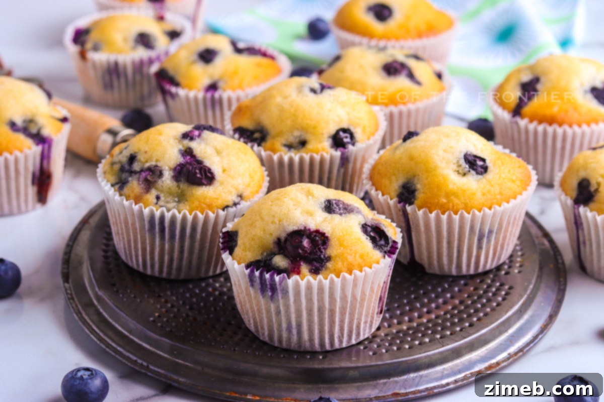Best Blueberry Muffin Recipe 15 Best Breakfast with Blueberries - Enjoying a fresh blueberry muffin with coffee.
