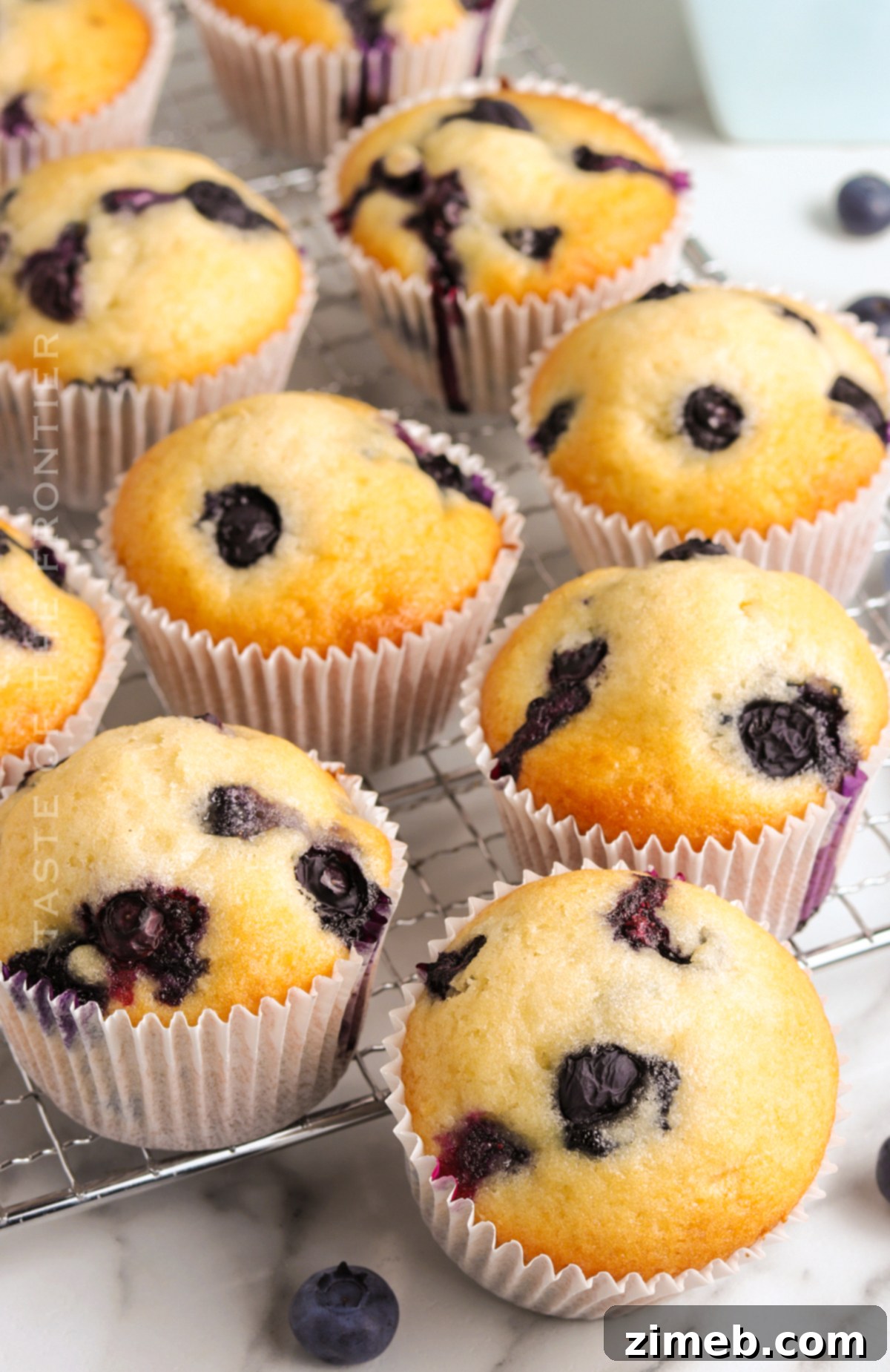 Best Blueberry Muffin Recipe 16 Muffin Recipe for Breakfast - A basket of warm homemade blueberry muffins.