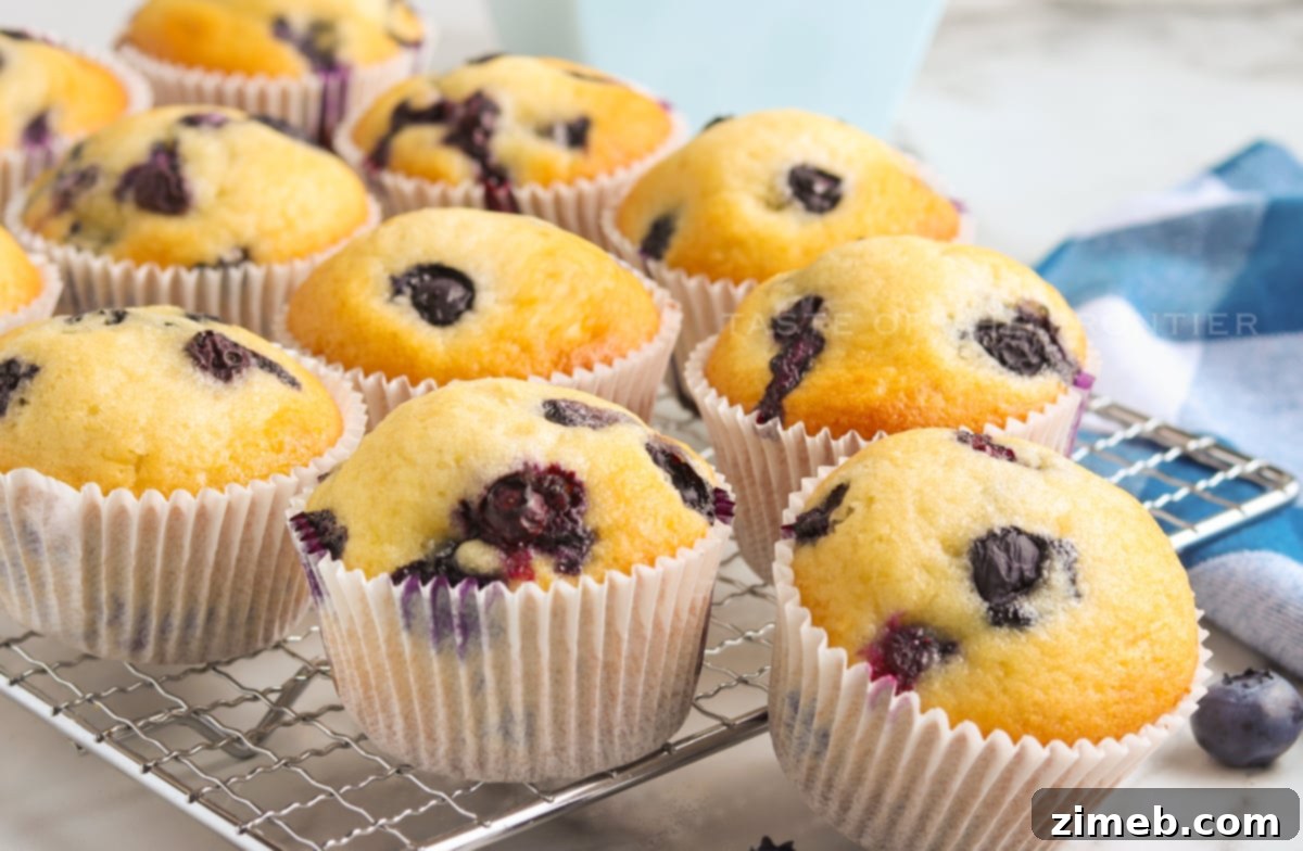 Best Blueberry Muffin Recipe 8 Fluffy Blueberry Muffins - A close-up of baked, golden-brown blueberry muffins, showcasing their soft texture.