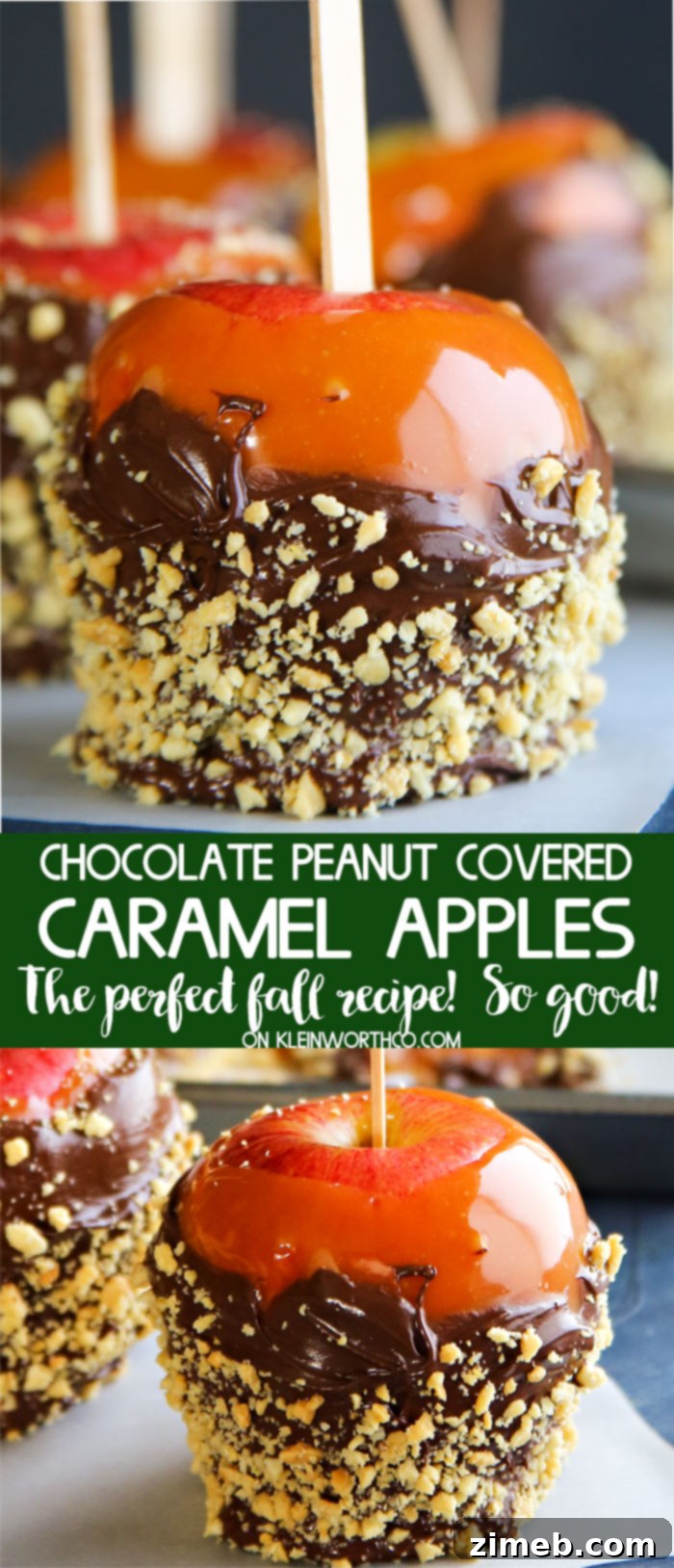 Chocolate Peanut Covered Caramel Apples with rich homemade caramel and crunchy peanuts