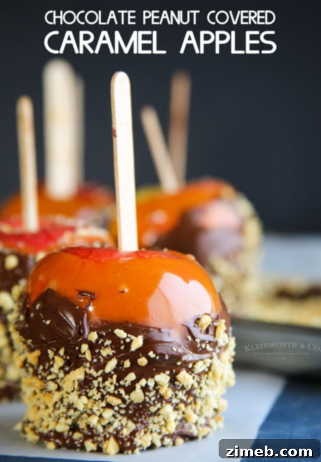 Close-up of a homemade Chocolate Peanut Covered Caramel Apple