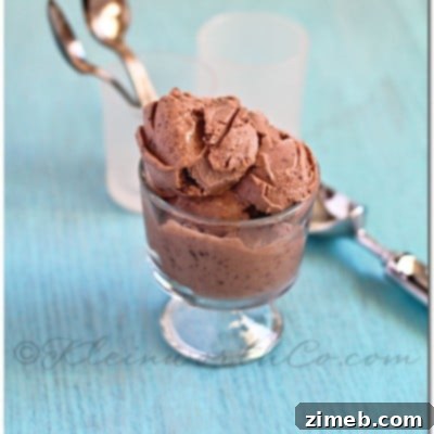 chocolate frozen yogurt recipe