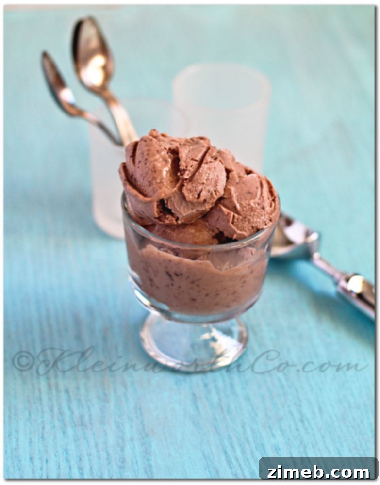 Rich and Creamy Chocolate Frozen Yogurt