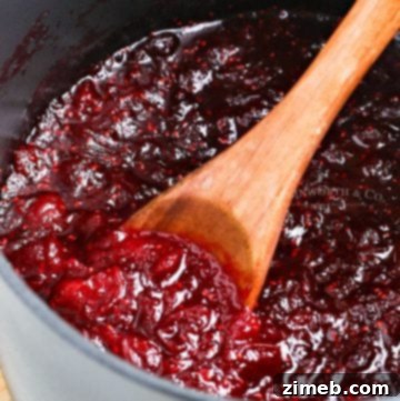 Robust Chili Blend 12 Pureed cranberry sauce