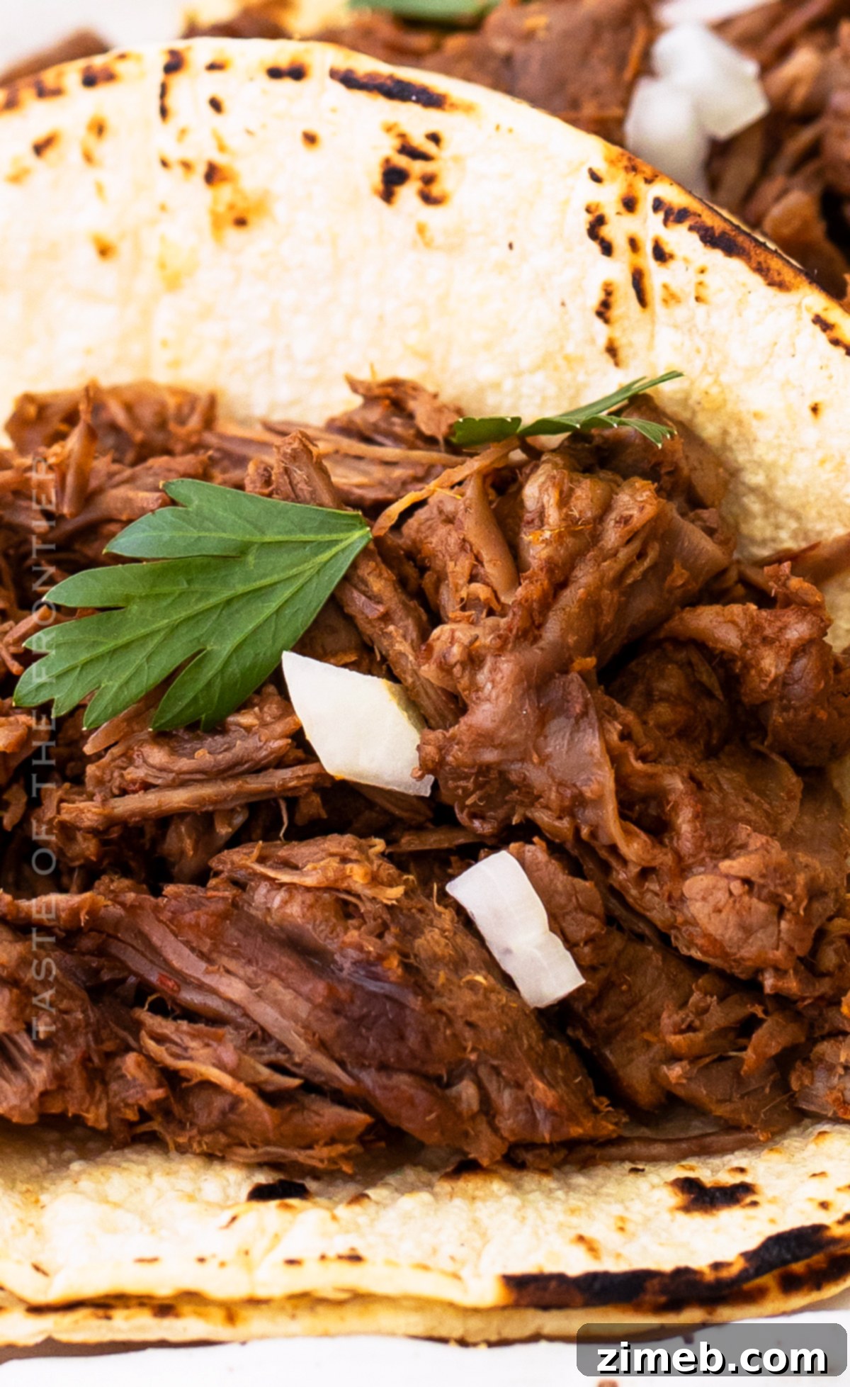 Fiesta Taco Blend 7 Beef Barbacoa Tacos, seasoned perfectly with homemade taco blend