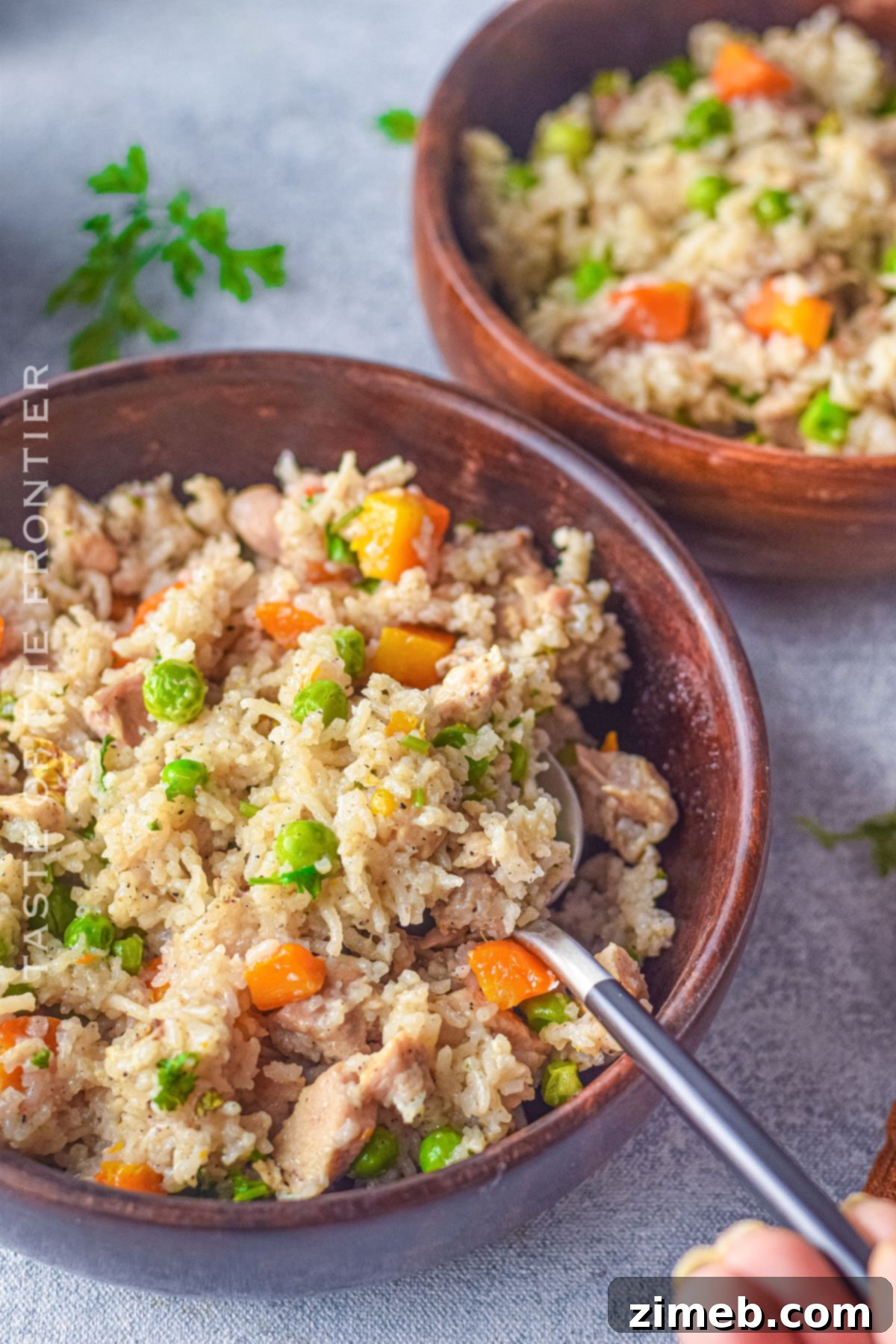 Easy Instant Pot Chicken and Rice 16 Instant Pot Chicken and Rice dish, close up.