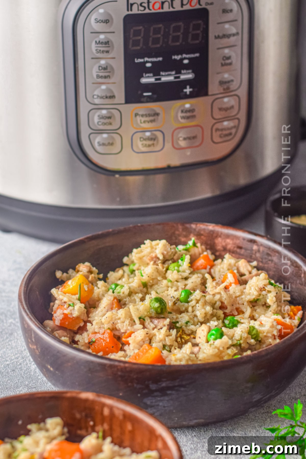 Easy Instant Pot Chicken and Rice 9 Pressure Cooker Chicken and Rice ready to serve.