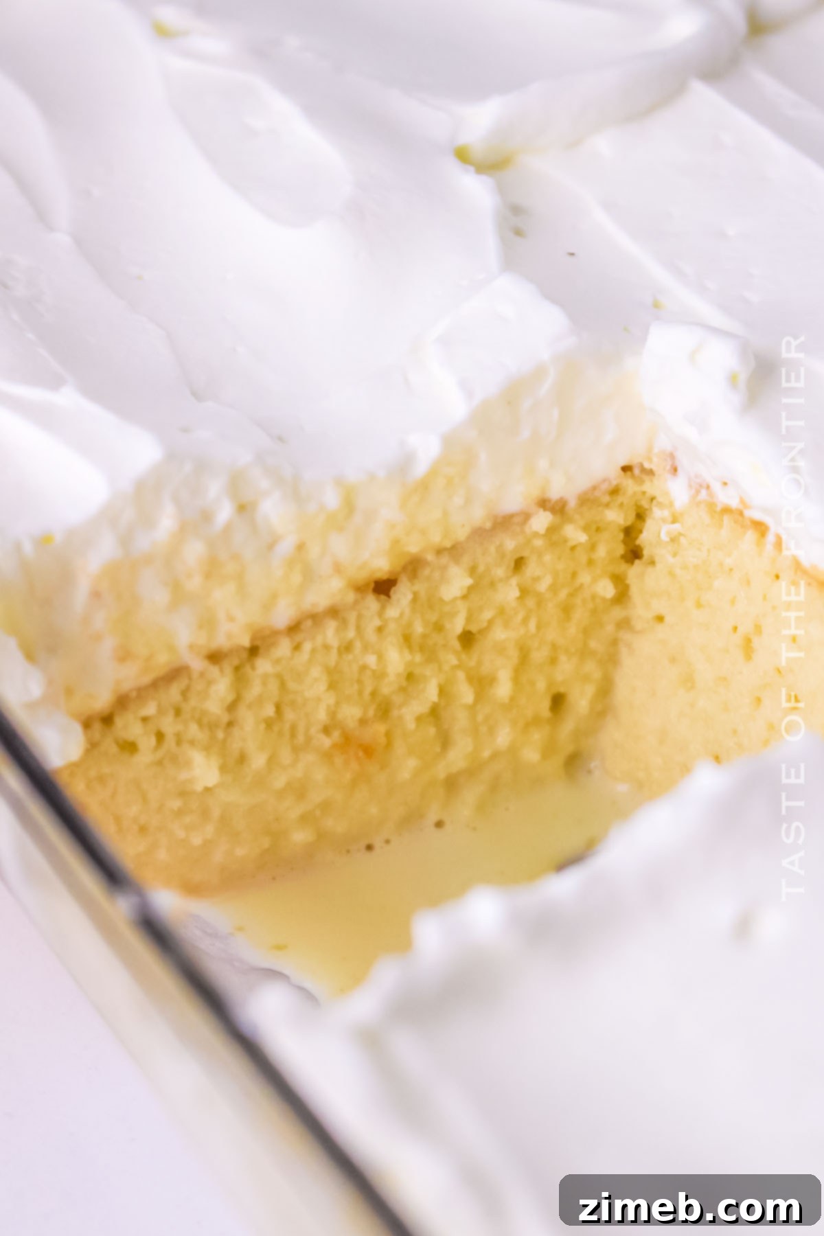 The moist interior of a Tres Leches Cake, showing the milk-soaked sponge.