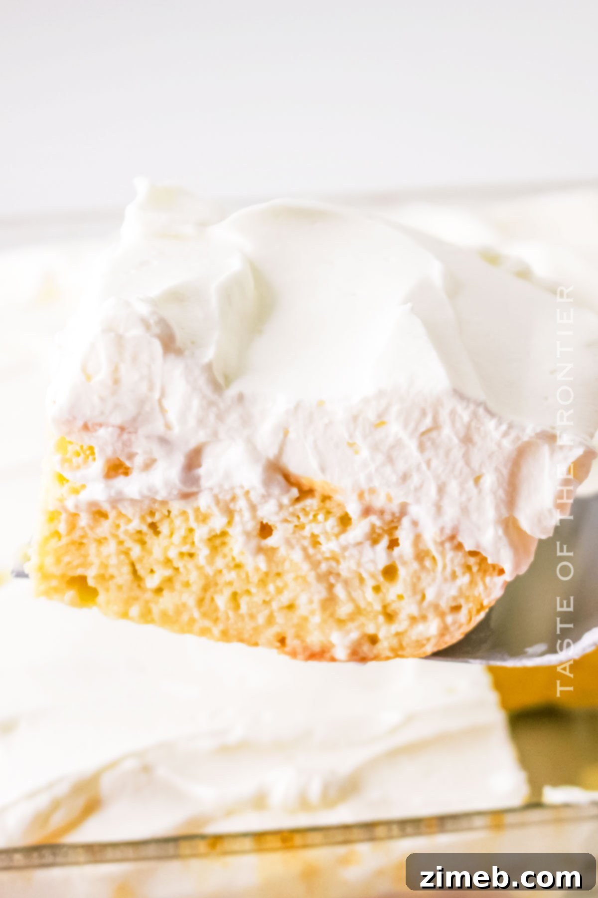 A perfectly plated slice of Tres Leches Cake, garnished with fresh berries.