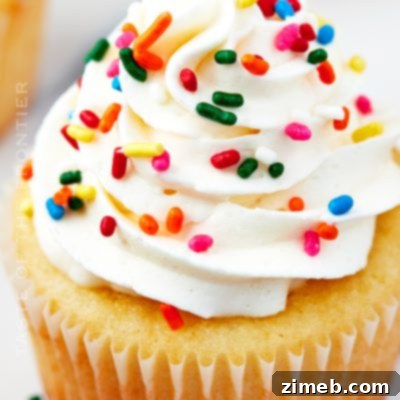 Vanilla Cupcakes topped with American buttercream frosting.
