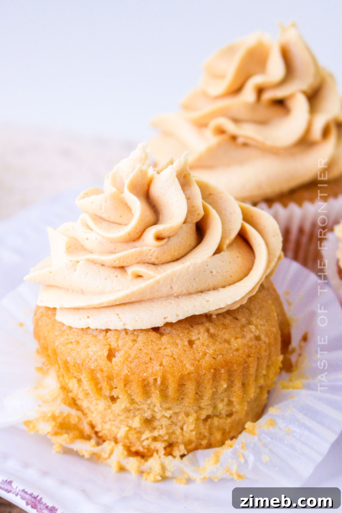 Double Peanut Butter Delight Cupcakes 15 Peanut Butter Cupcakes Recipe with fluffy frosting