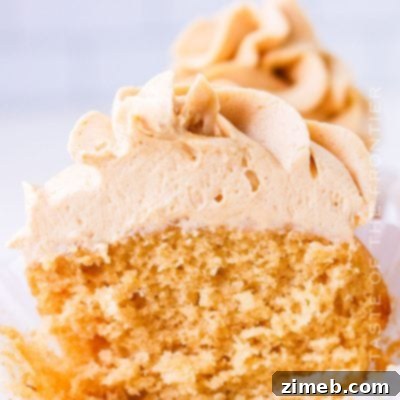 Double Peanut Butter Delight Cupcakes 17 Peanut Butter Cupcakes with Peanut Butter Frosting