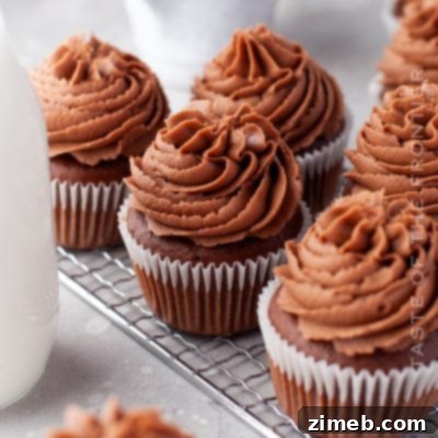 Double Peanut Butter Delight Cupcakes 9 Best Chocolate Cupcake Recipe