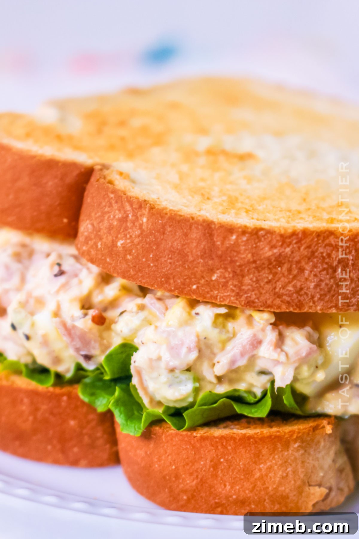 Tuna Egg Salad 14 Tuna Salad with Egg Recipe