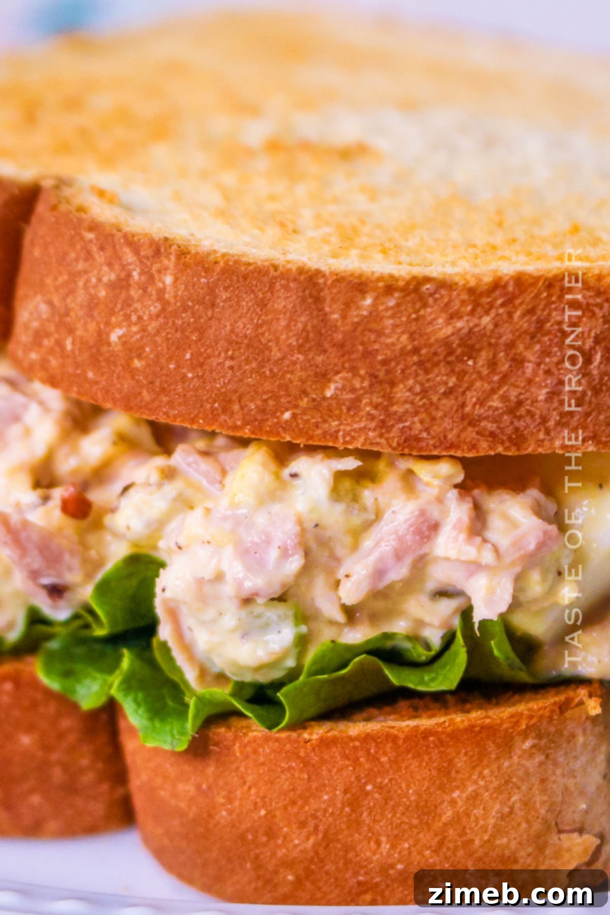 Tuna Egg Salad 15 Tuna Salad with Egg