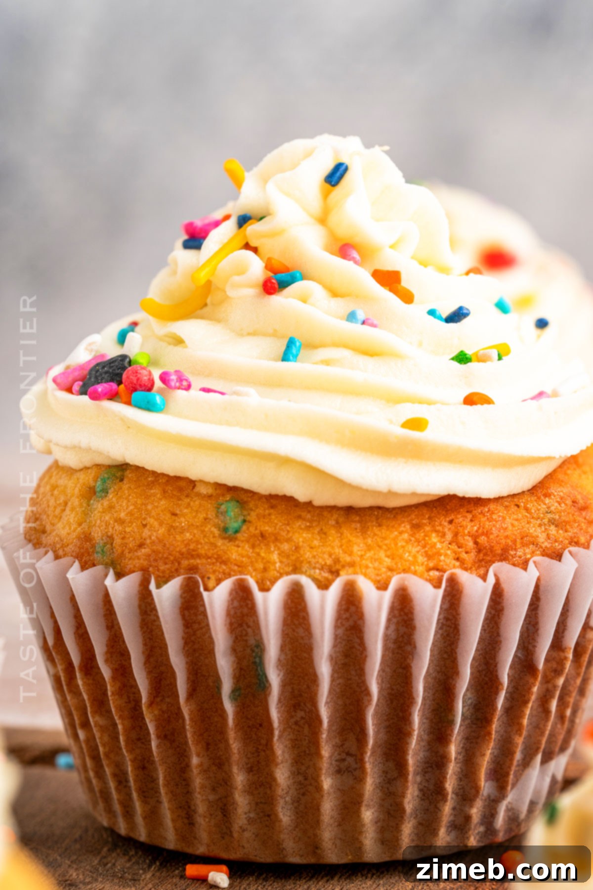 Festive Funfetti Cupcakes 2 Colorful Confetti Sprinkle Cupcakes Recipe - vibrant vanilla cupcakes with sprinkles in the batter and on top