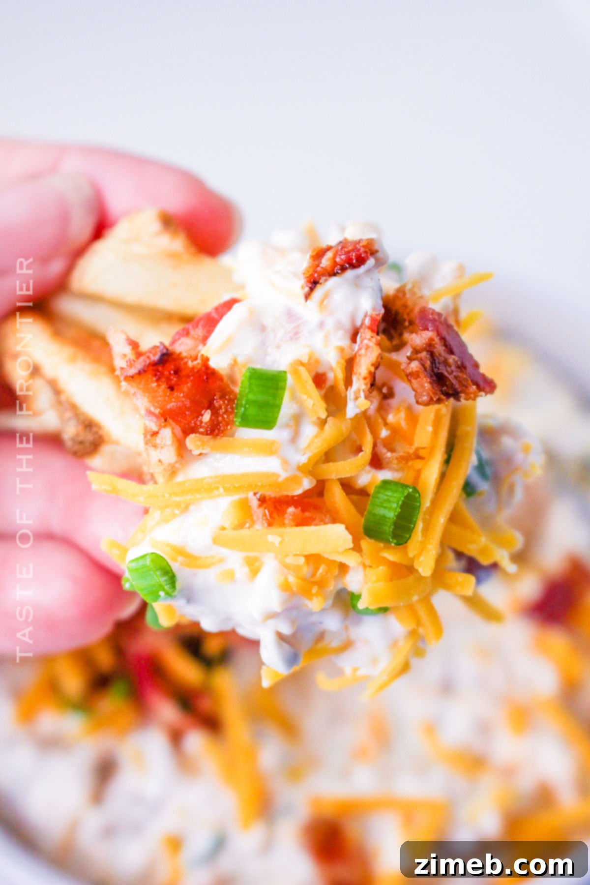 Craveable Loaded Baked Potato Dip 2 Recipe for Loaded Baked Potato Dip